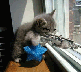 Animated_Sniper_Cat-1
